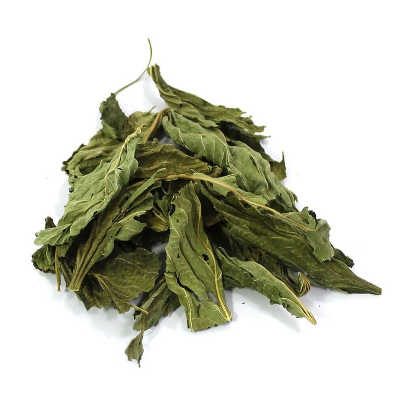 MOLOKHIA
