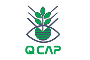 Egy Sun Spices-qcap